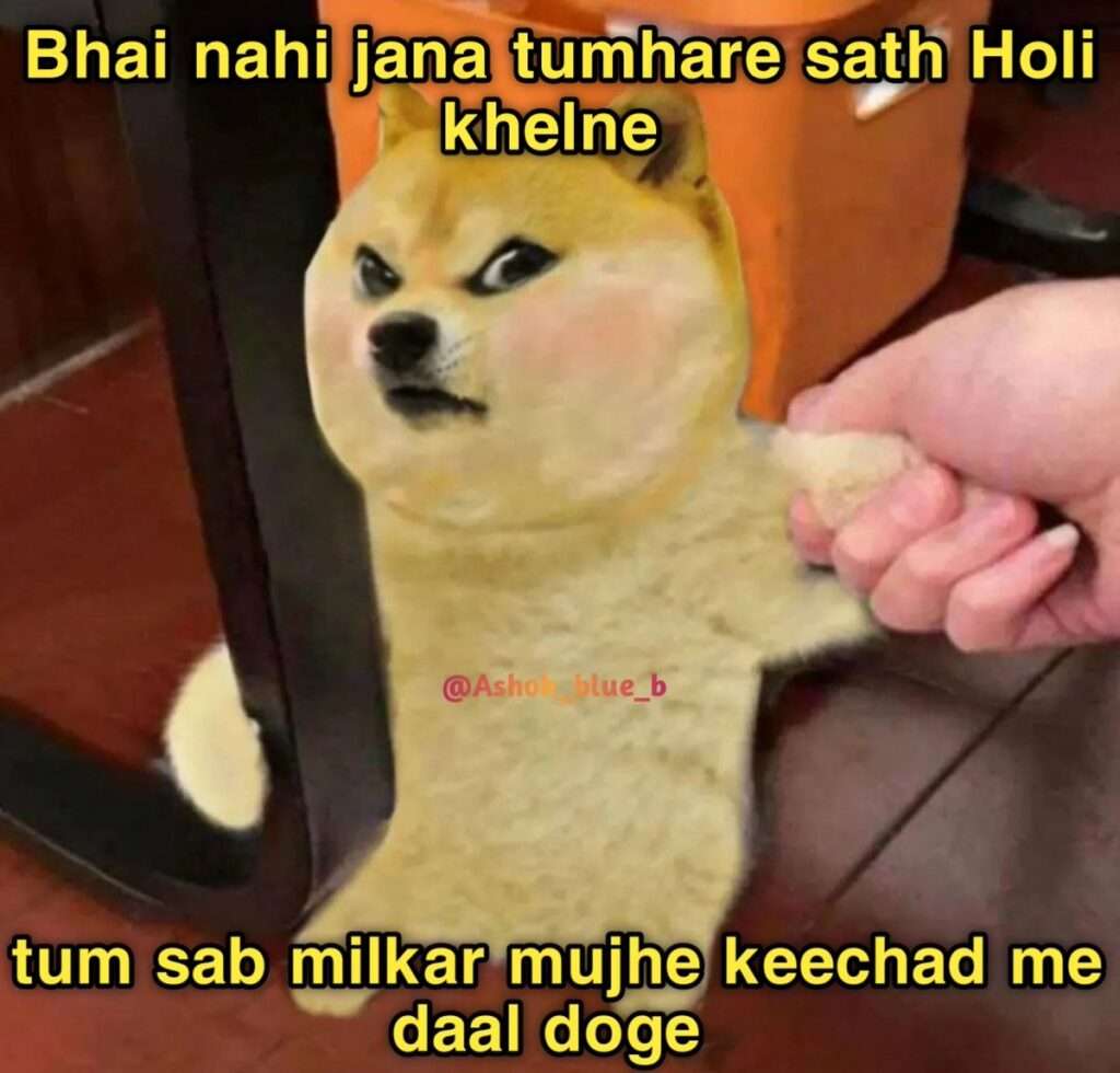 Holi meme on Doge