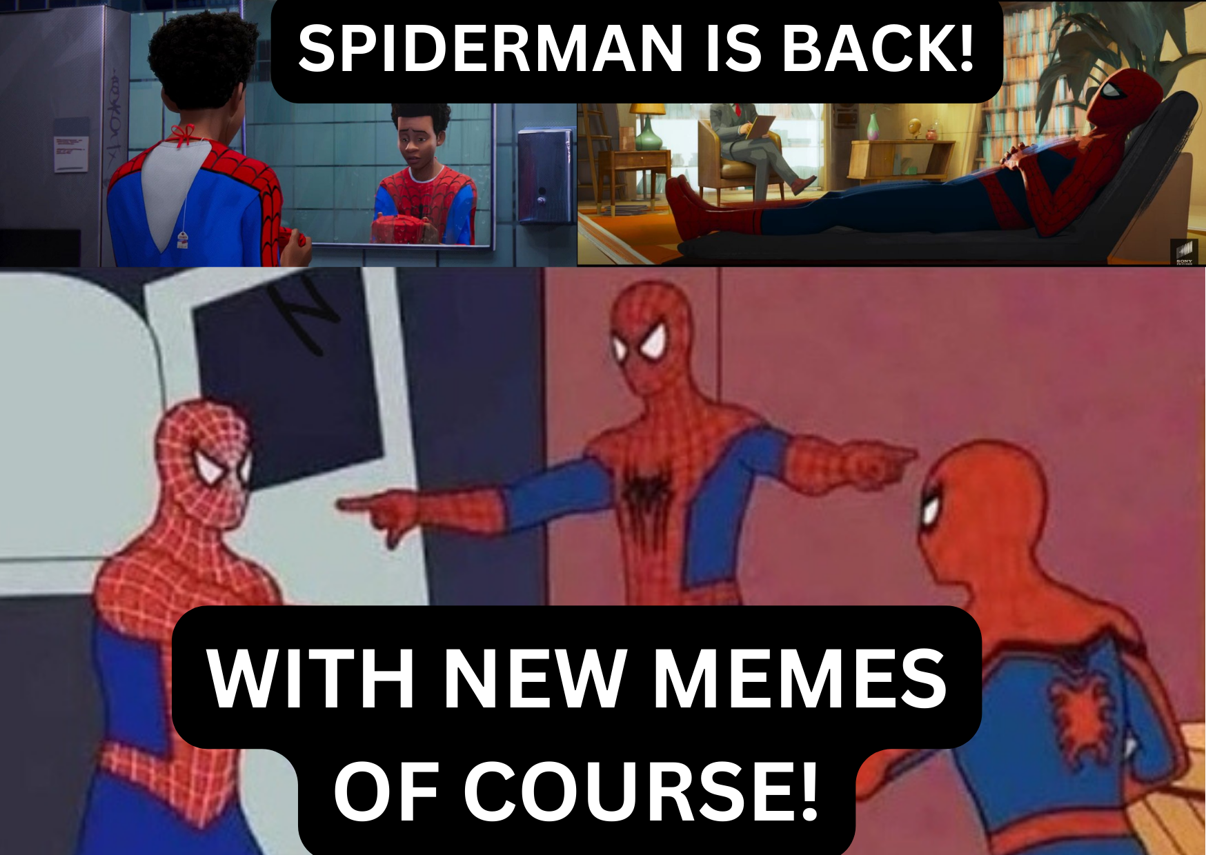 Spiderman: Memes run in all the universes