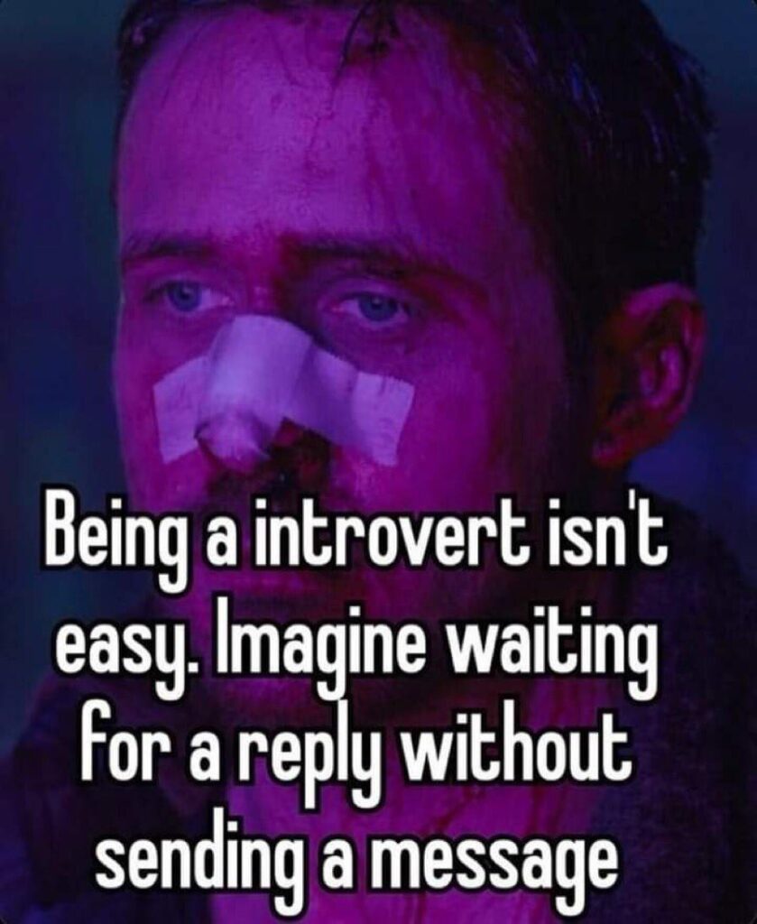 Funny Memes introvert