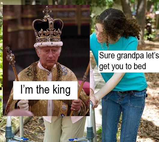 Funny Meme on king