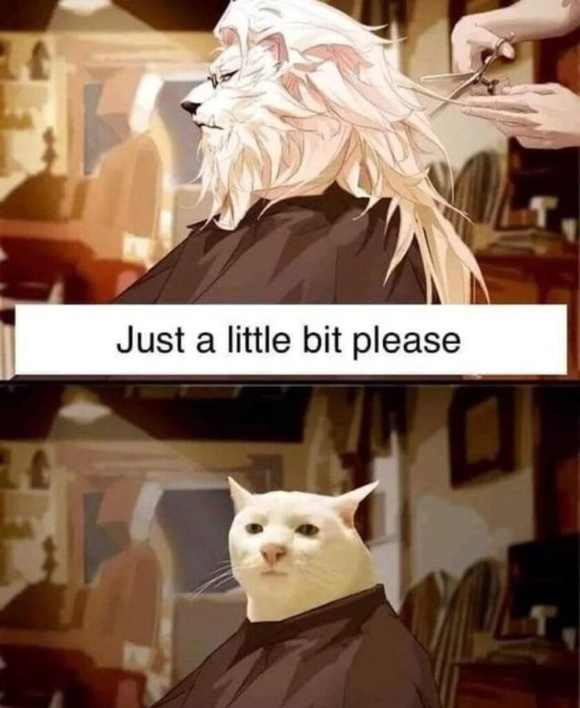 Funny Meme haircut