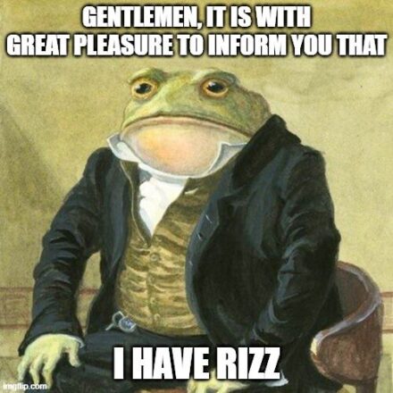 Rizz Memes: The Perfect Fusion of Swagger and Humor