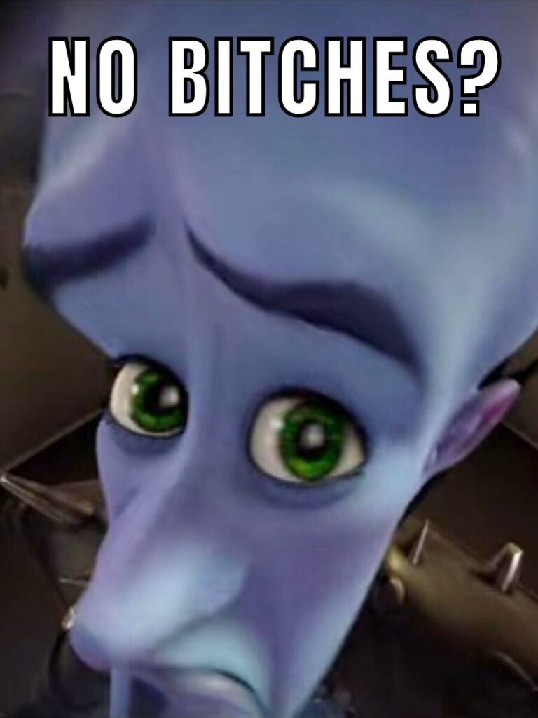 No Bitches Megamind Meme Template 7017