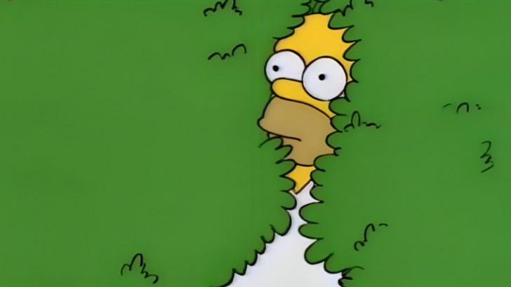 Simpsons Hiding In Bush Meme Template 6473