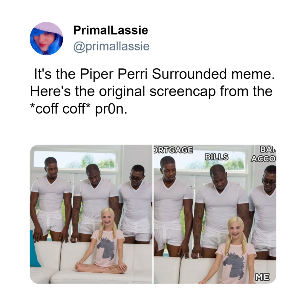 Piper perri surrounded memes