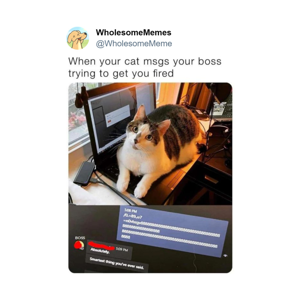 wholesome memes