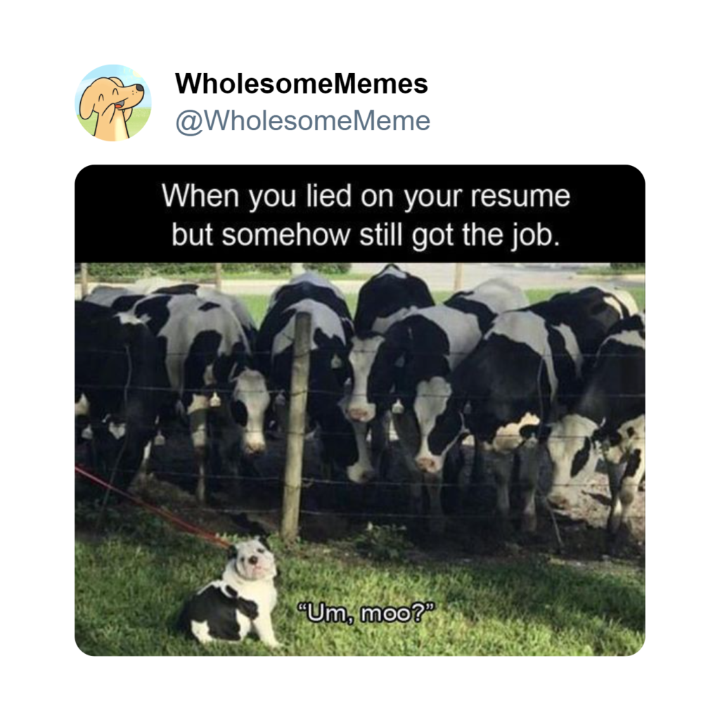 wholesome memes