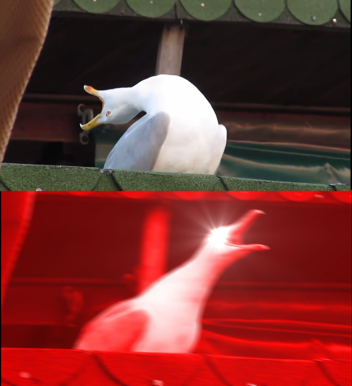 Inhaling Seagull Meme Template