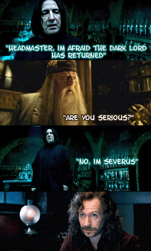 15 Harry Potter Memes For All Potterheads Out There! - MemeHeist