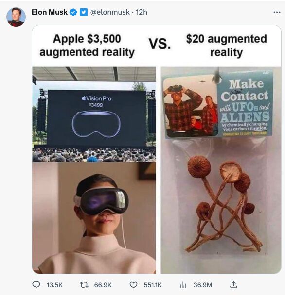 Elon Musk's apple vsion pro meme
