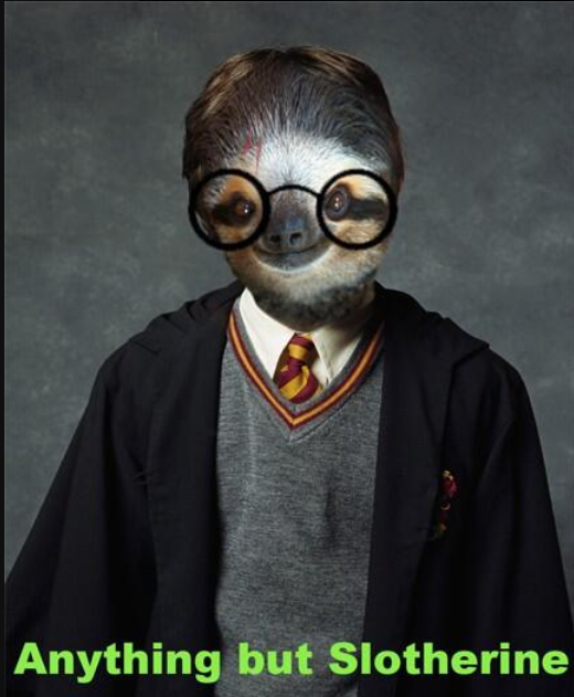 Harry Potter memes on Hogwarts