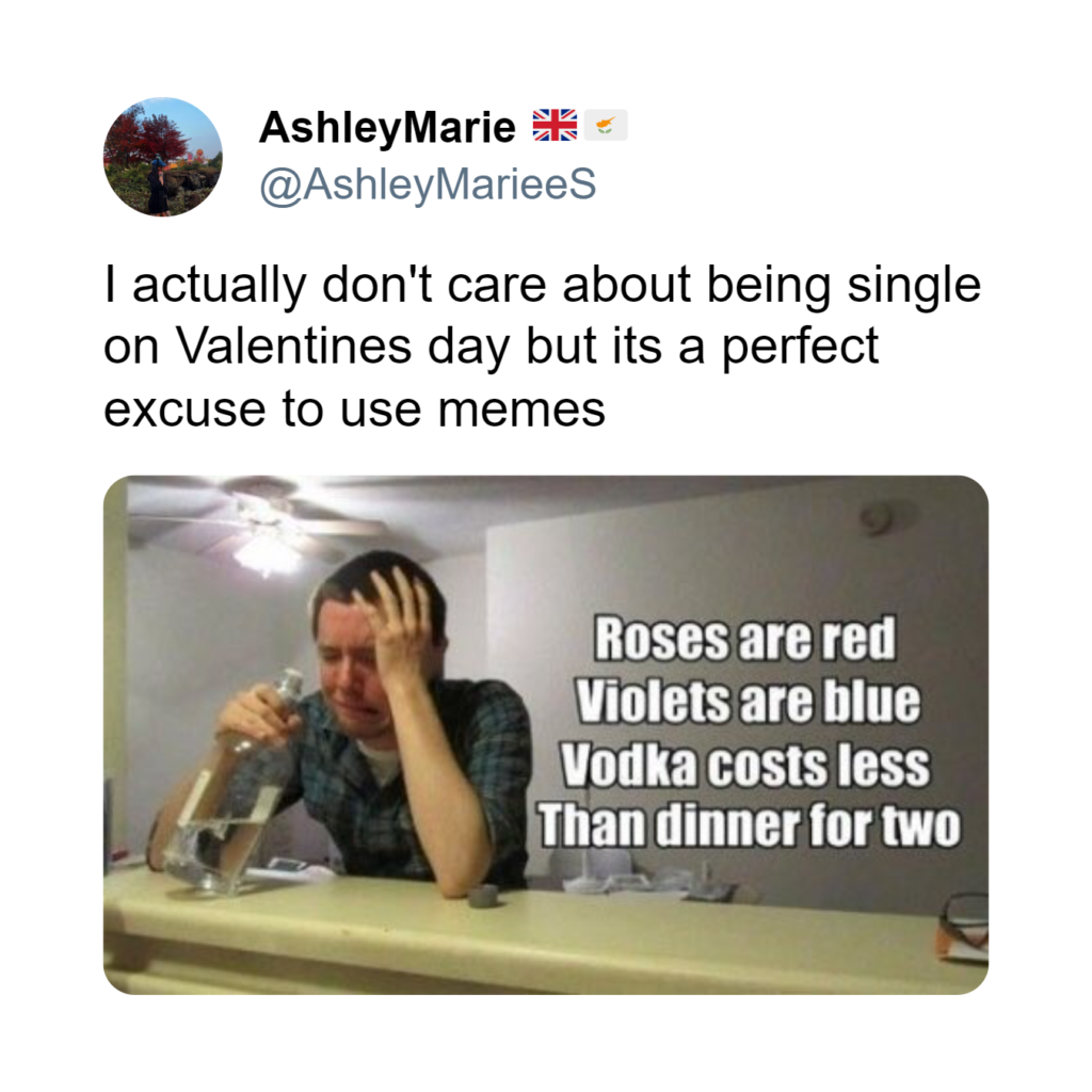 Valentine S Day Memes 2024 Love Laughter More MemeHeist   Tweet 695390230895984640 1024x1024 